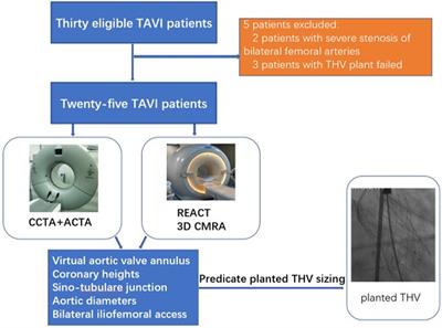The feasibility of relaxation-enhanced angiography without contrast and triggering for preprocedural planning of transcatheter aortic valve implantation